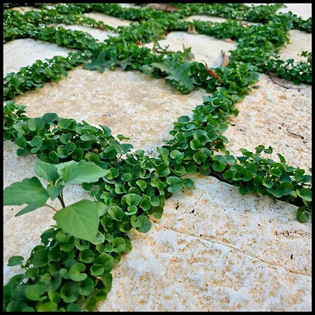 Narnia E La Rocca Di Albornoz 3*