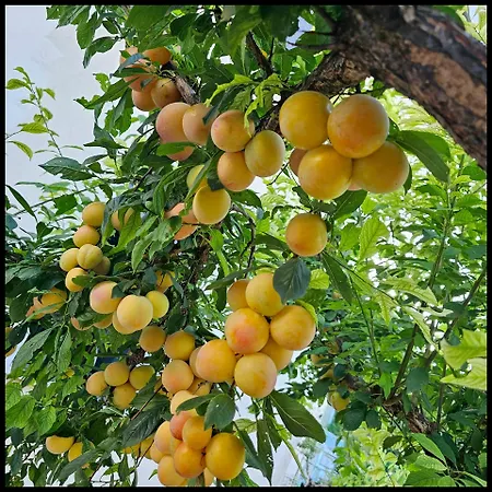 Narnia E La Rocca Di Albornoz Narni