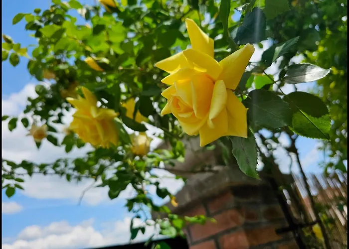 Bed & Breakfast Narnia E La Rocca Di Albornoz