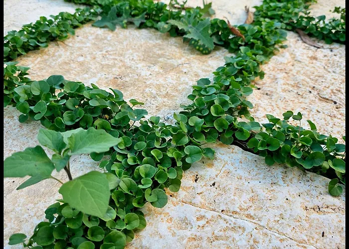 Narnia E La Rocca Di Albornoz 4*