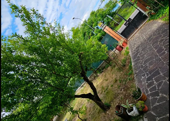 Bed & Breakfast Narnia E La Rocca Di Albornoz 4*